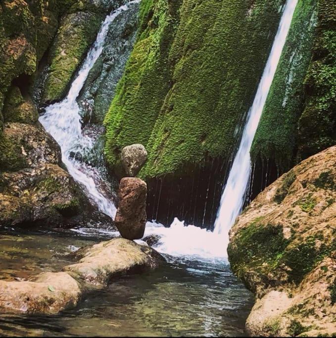 Maison Chaleureuse En Ariege Roquefort-Les-Cascades Esterno foto